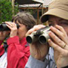 birders with binoculars